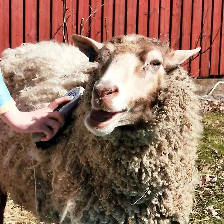 Airistola * Lohja