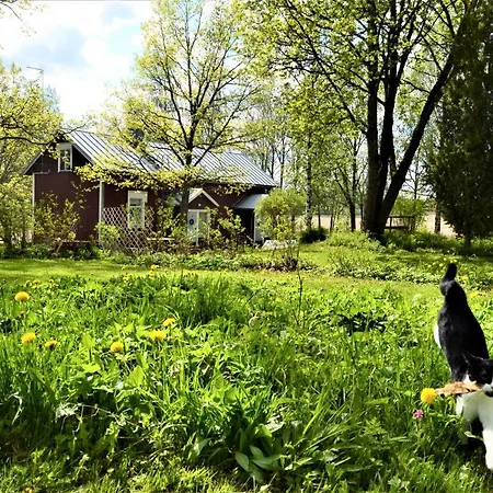 Airistola Tatil Evi