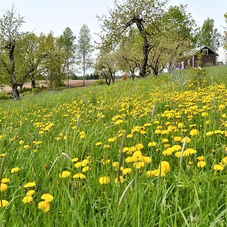 Ferienhaus Airistola